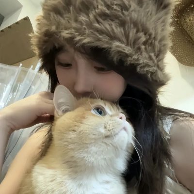 鲨鱼：风暴